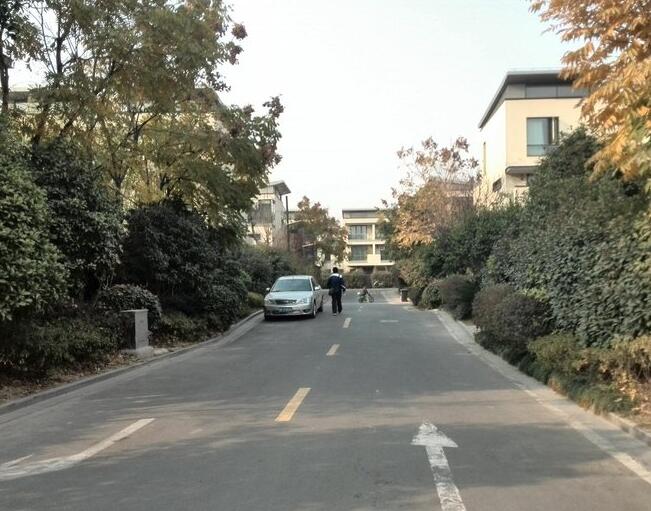 上海市松江区中大九里德382栋1-3F 