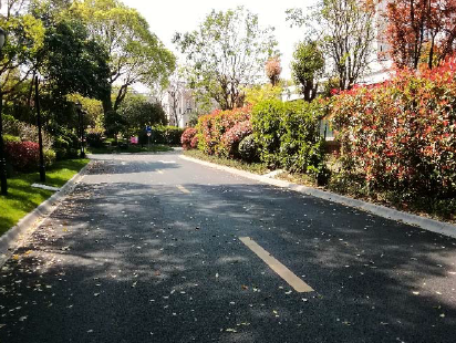 上海市青浦区圣安德鲁斯庄园98栋 