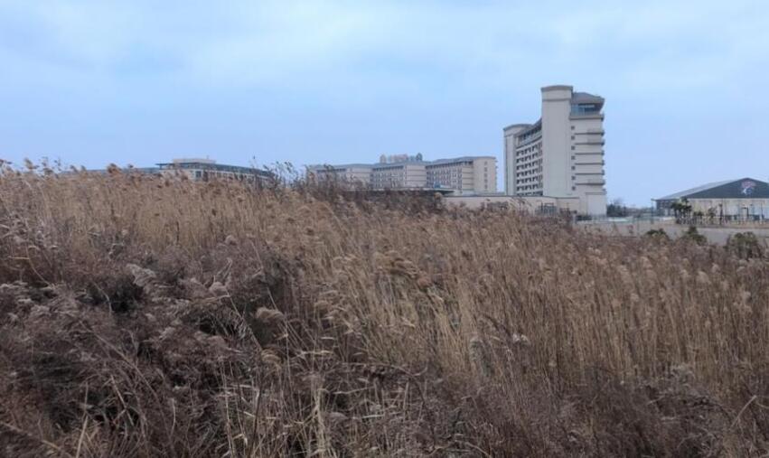 上海市浦东新区浦东机场镇地块机场镇62街坊地块 