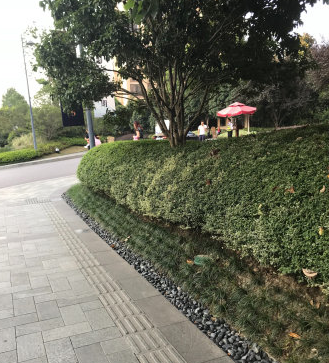 上海市闵行区上海星河湾12栋27F 