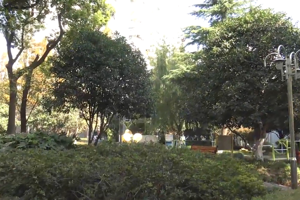 上海市宝山区吴淞新城24栋4F 