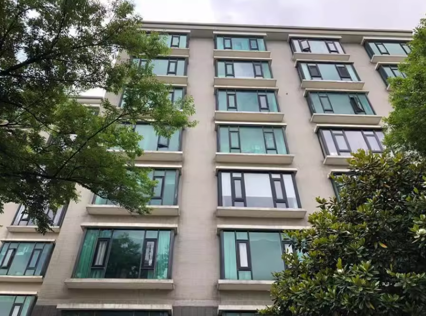 上海市闵行区大都会20号802室 