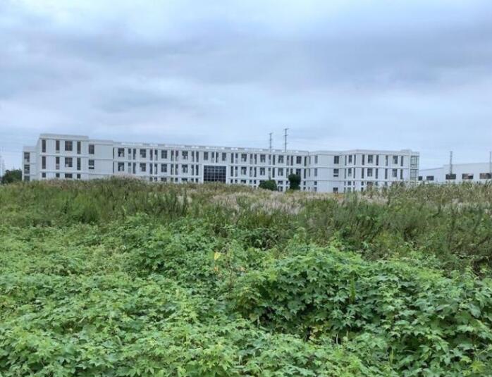 上海市金山区建定路厂房建定路6栋1、2、3全幢 