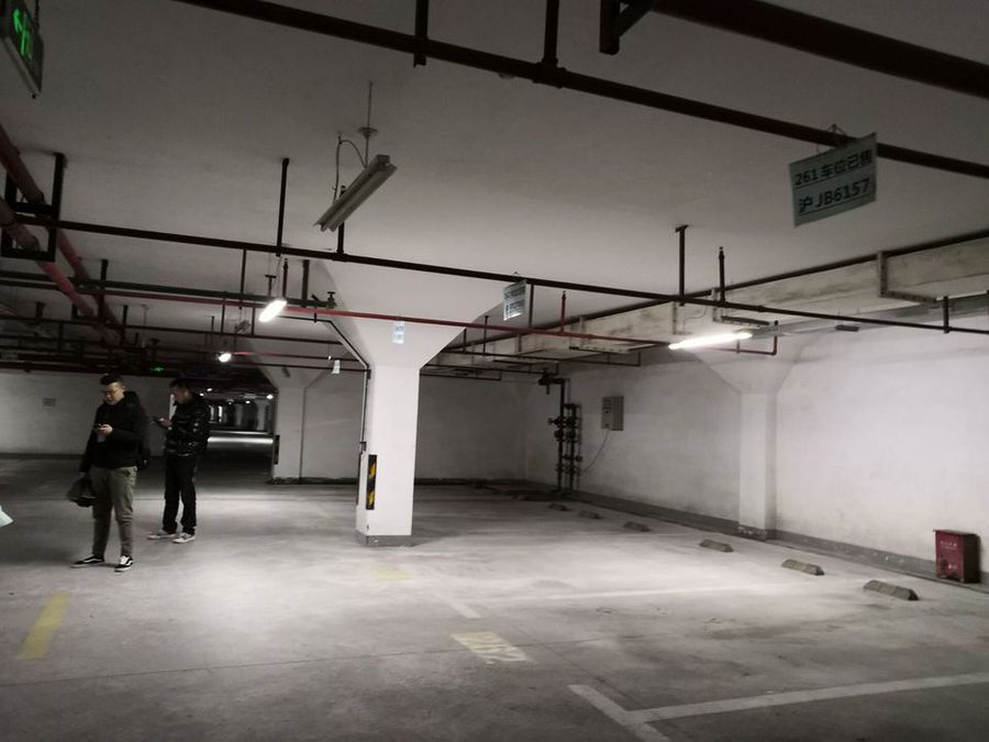 上海市闵行区东方花园10栋12F及地下室车位 