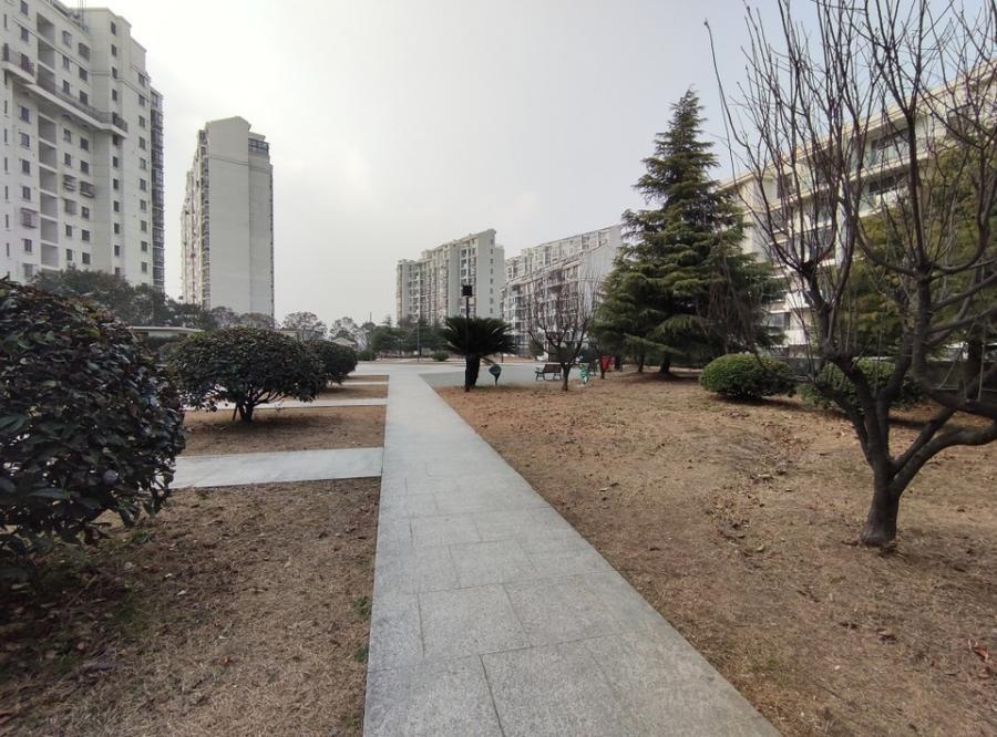 上海市浦东新区东升家园12栋14F 