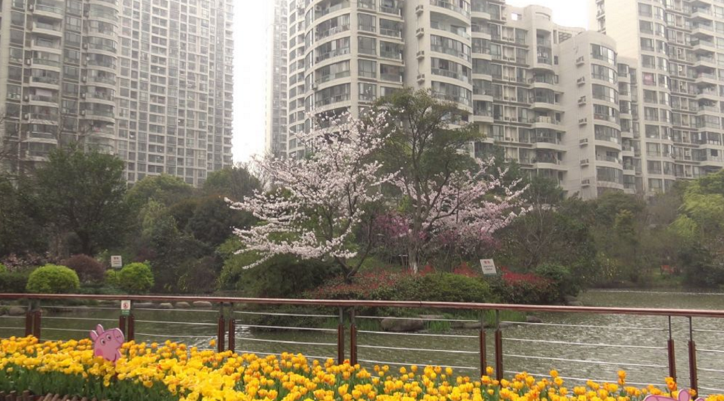 上海市普陀区新湖明珠城19栋30F 