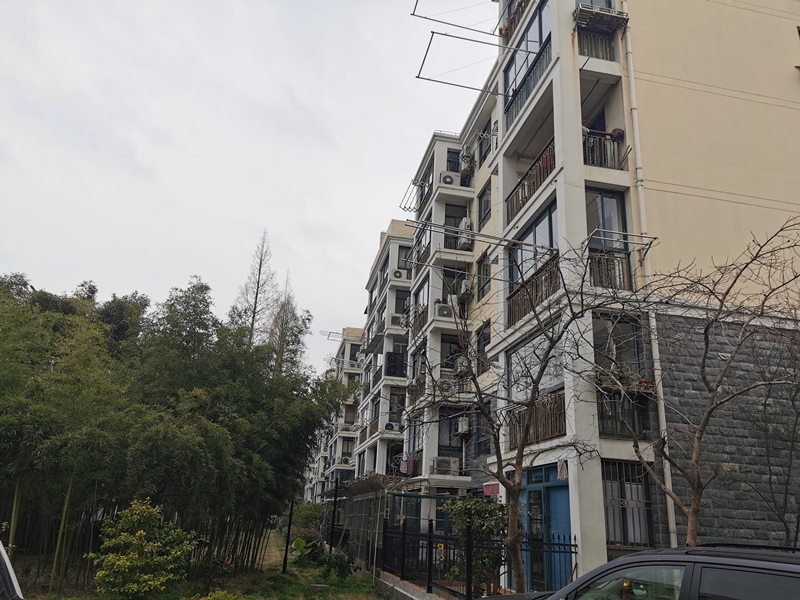 上海市闵行区晟虹新景苑10栋5F 