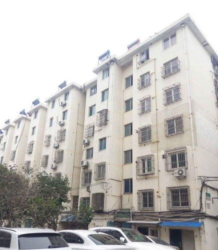 上海市奉贤区育秀西区228栋3F 