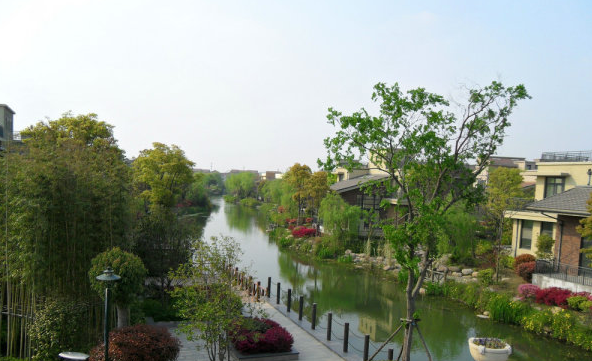 上海市青浦区圣地维拉徐泾镇373栋 