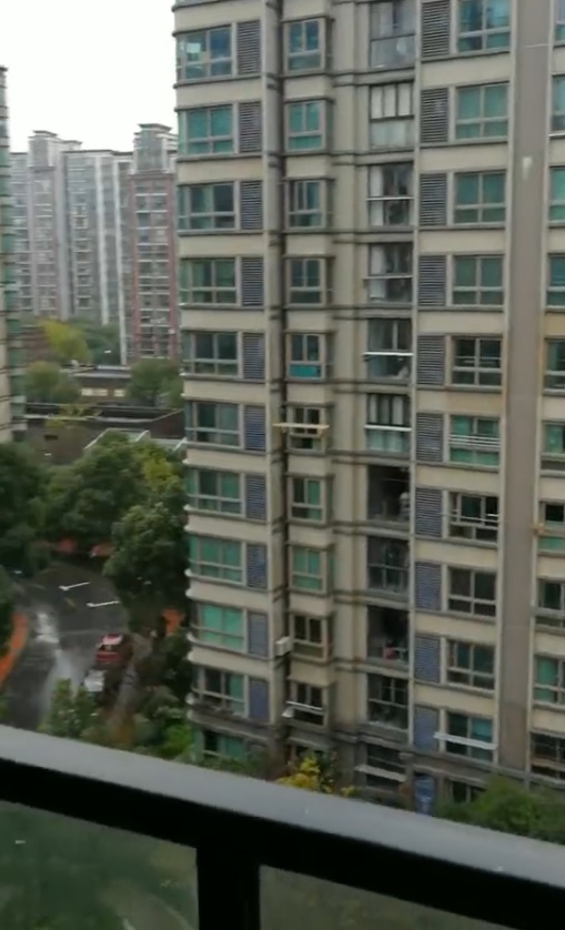 上海市宝山区经纬城市绿洲三期14栋8F 