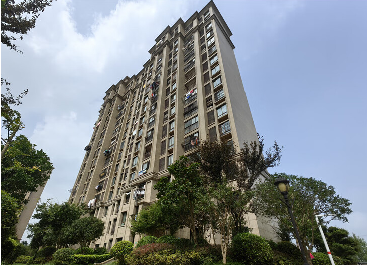 上海市奉贤区佳源梦想广场63栋10F 