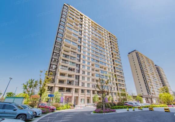 上海市松江区信达蓝尊17栋9F 