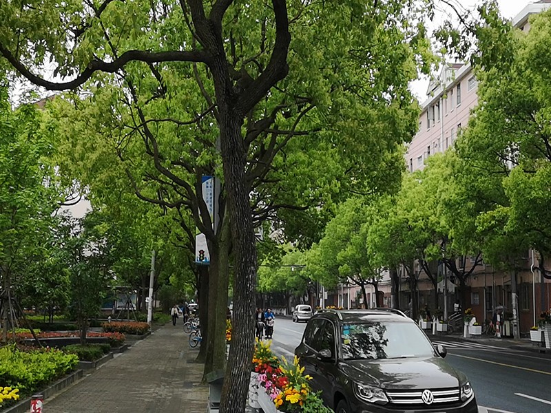 上海市浦东新区山泉花苑10栋4F 