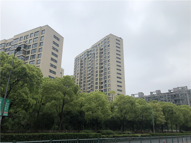 上海市普陀区中鹰黑森林50栋13F 