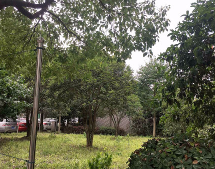 上海市宝山区盛宅一村52栋2F 