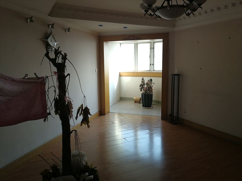 上海市杨浦区联升大厦1289栋7F 