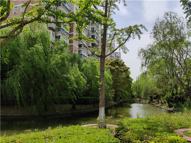 上海市松江区西南名苑7栋1-3F 