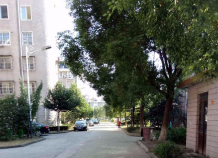 上海市宝山区罗溪花苑74栋4F 