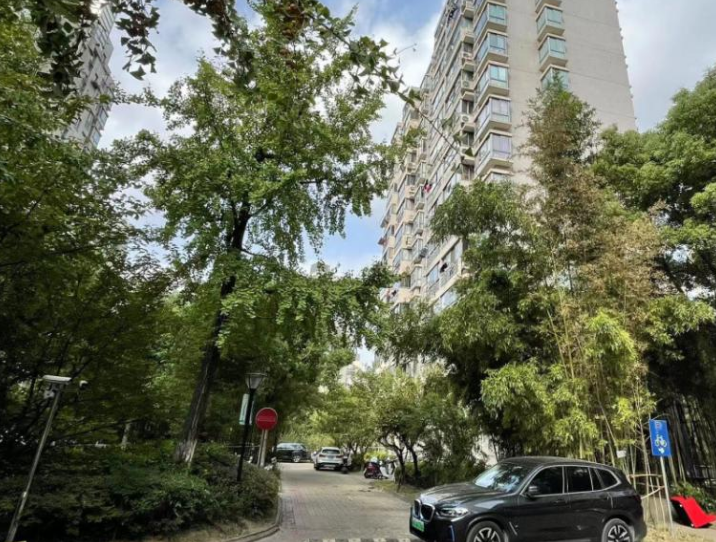 上海市静安区临汾名城24栋13F 