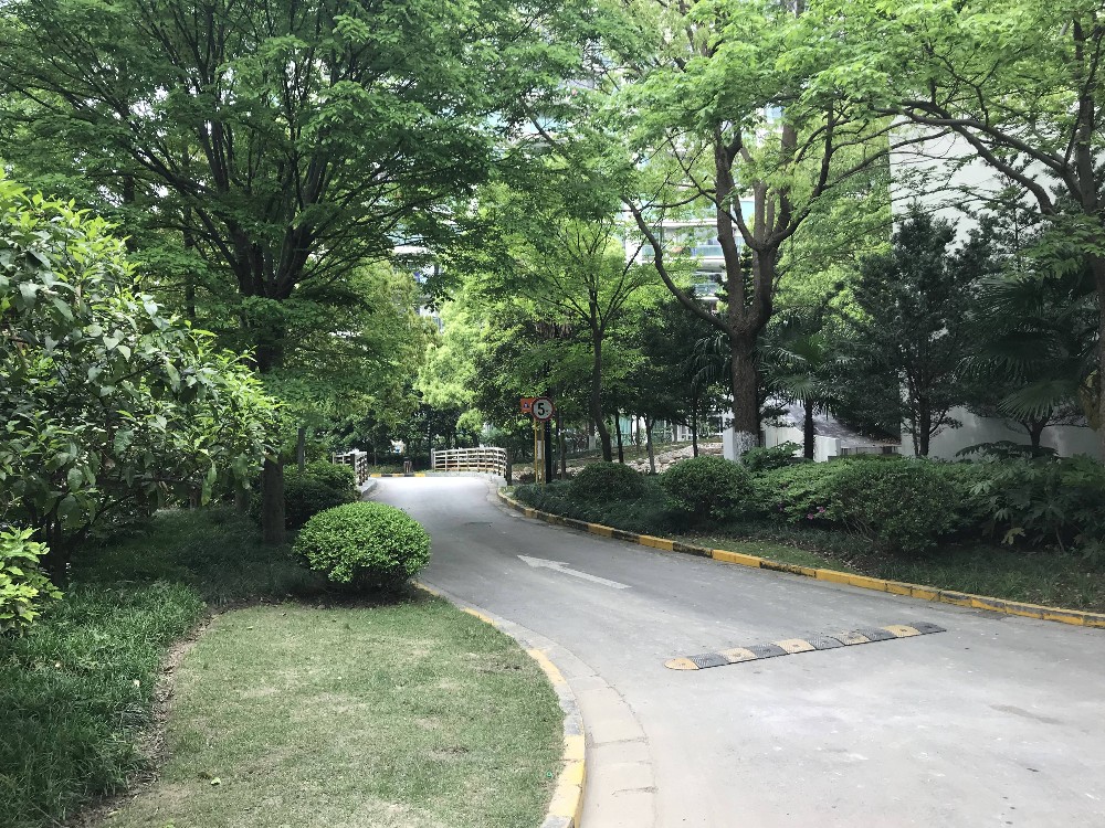 上海市浦东新区东方中华园/第五大道10栋1F 