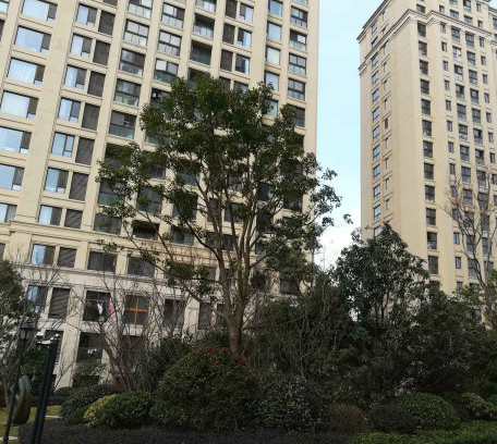 上海市浦东新区阳光城愉景湾118栋1F 