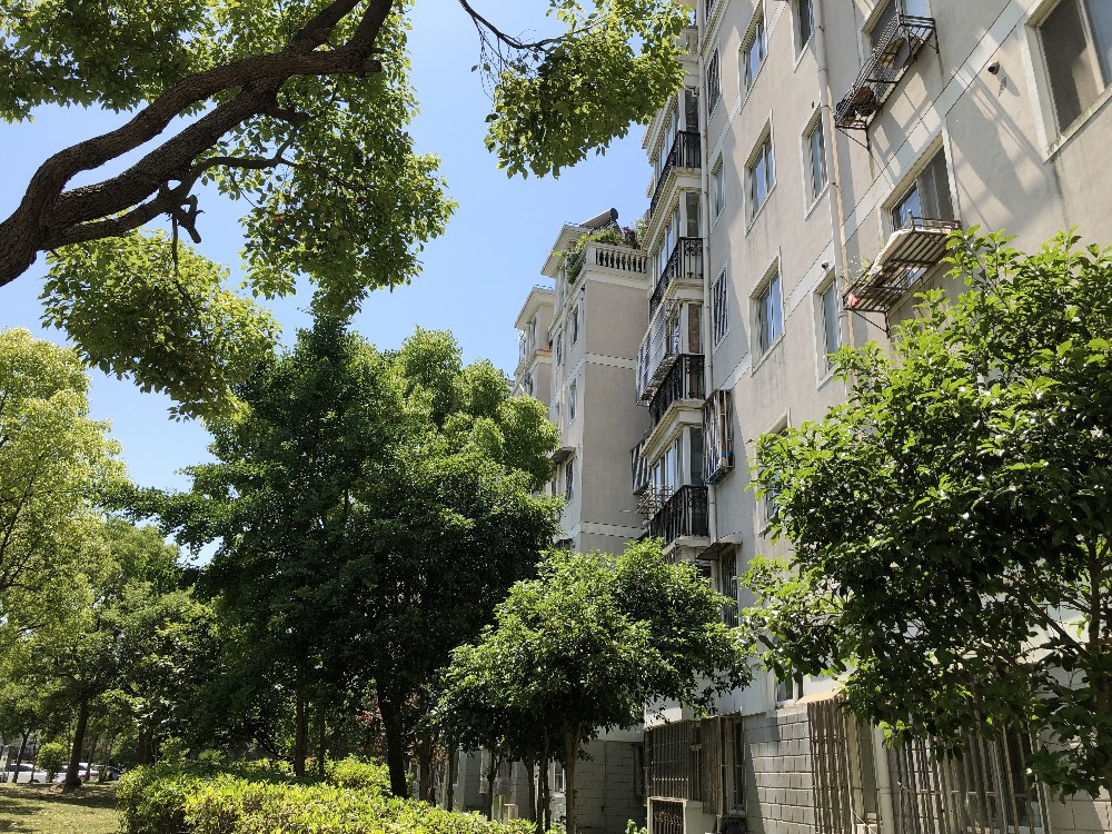 上海市浦东新区东陆锦悦苑12栋5F 