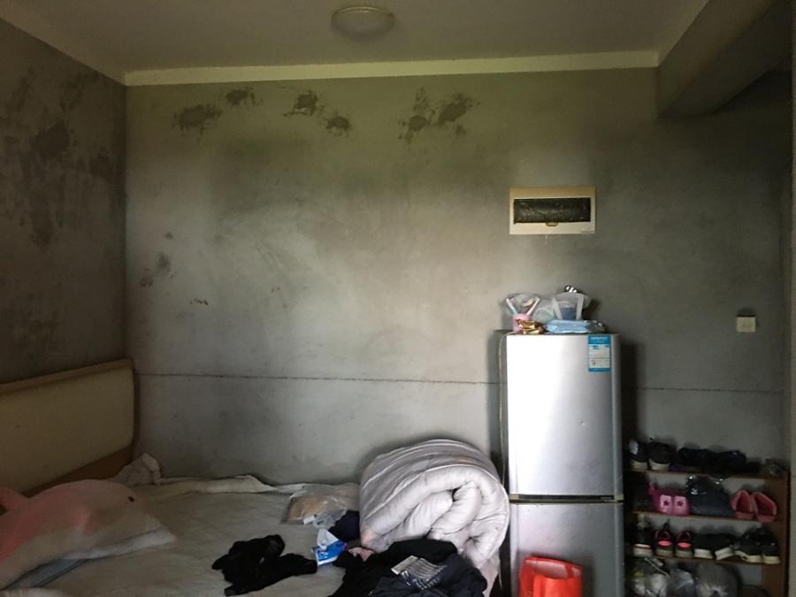 上海市松江区翔昆苑11栋9F 