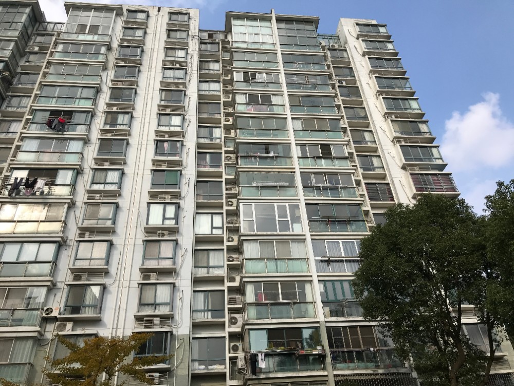 上海市金山区现代华亭11栋13F 