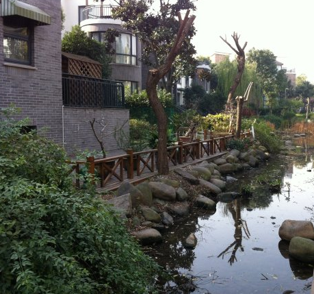 上海市青浦区圣地维拉徐泾镇372栋 