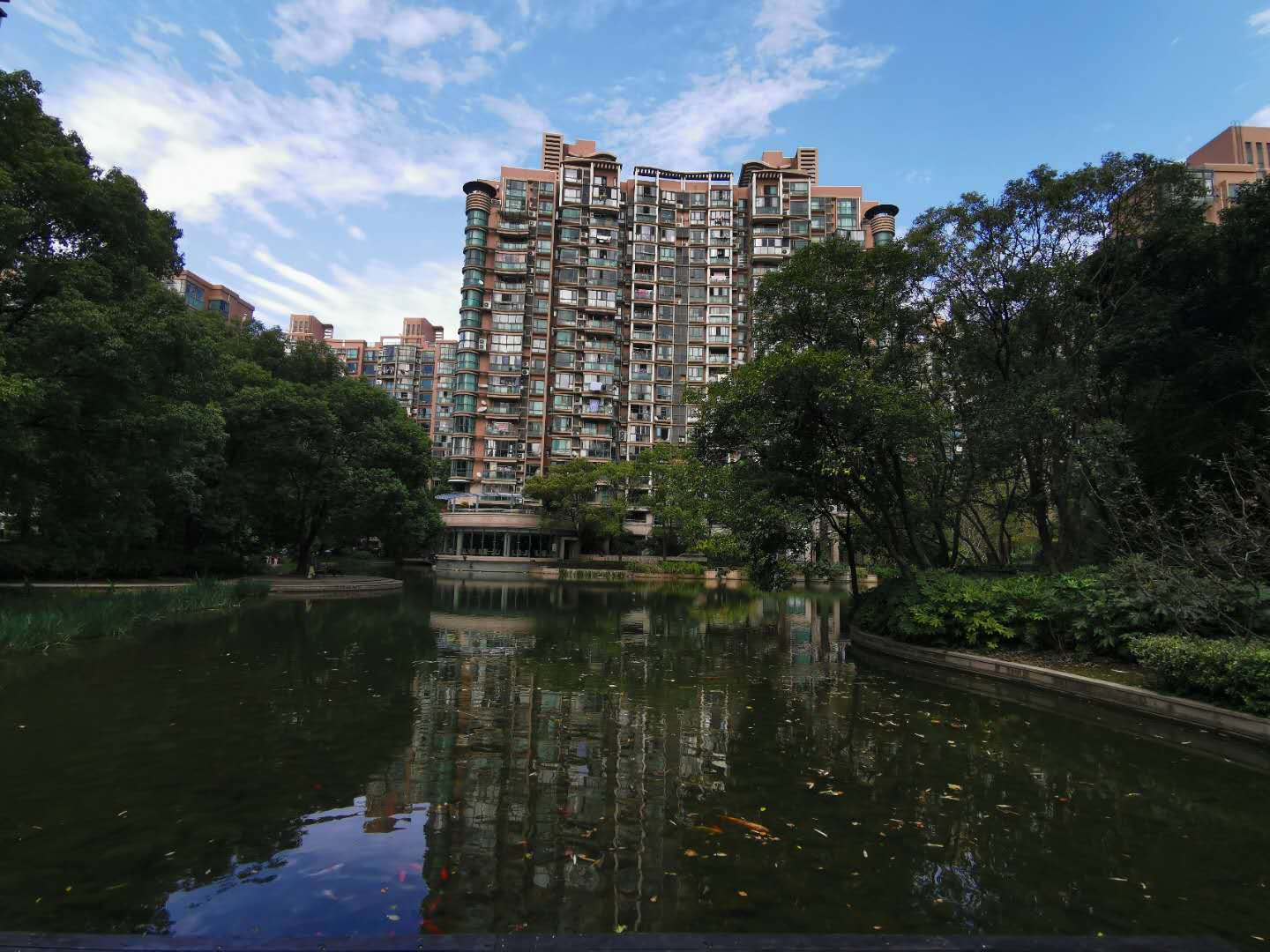 上海市普陀区金沙雅苑滨湖世家25栋12F 