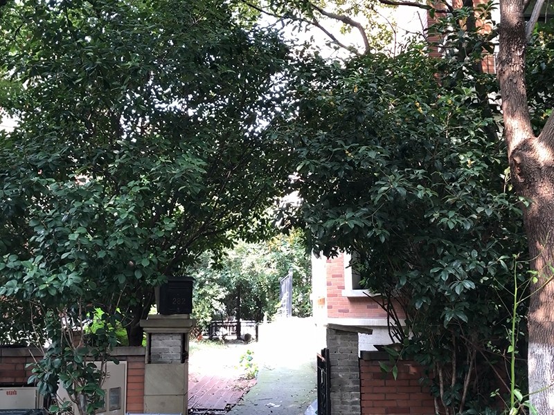 上海市宝山区旭辉依云湾300栋1-3F 