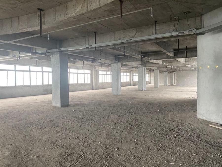 上海市奉贤区上海海台农副产品批发市场神州路367-411（单号）1-6F 