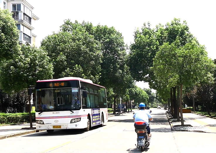 上海市金山区森海豪庭46栋1F 