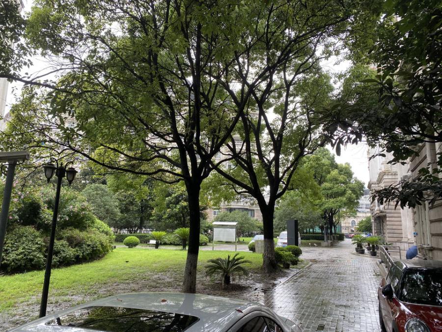 上海市浦东新区爱法新都5栋5F 