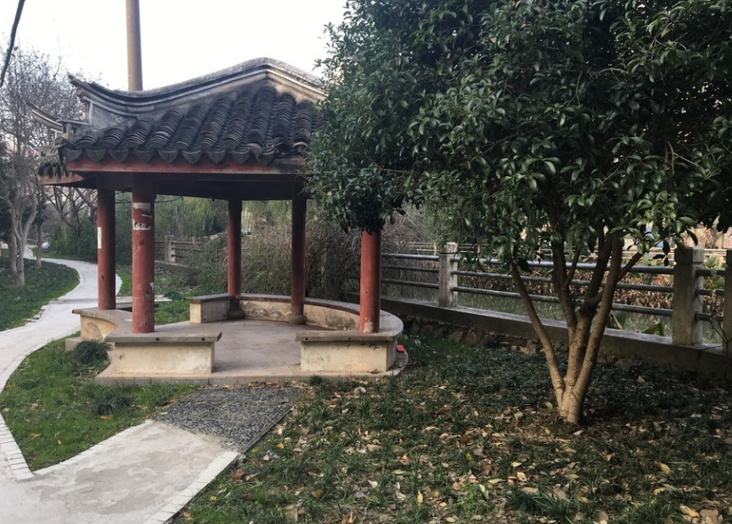 上海市奉贤区教苑新村29栋1F 