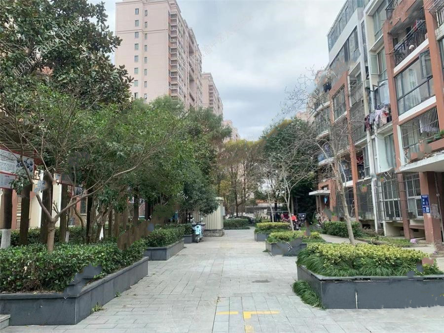 上海市奉贤区金碧汇虹苑47栋2F 