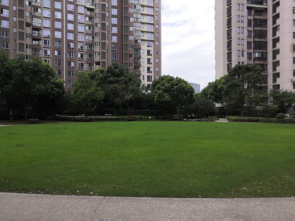 上海市杨浦区加州水郡7栋10F 