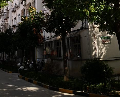 上海市浦东新区莲溪一村23栋7F 