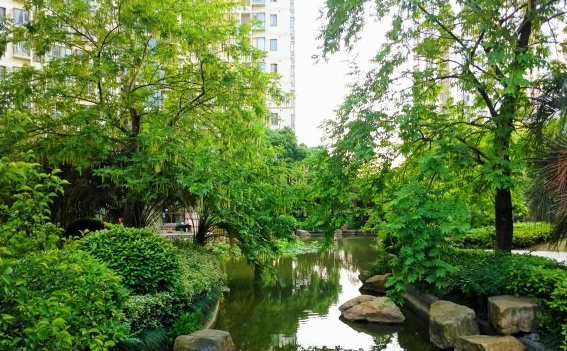 上海市青浦区万科尚景苑102栋9F 