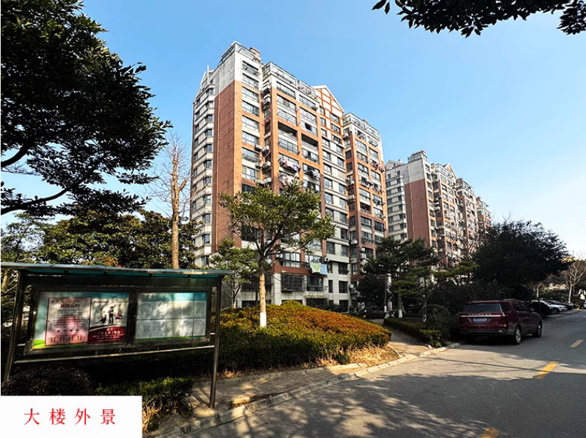 上海市浦东新区布鲁斯小镇228栋11F 