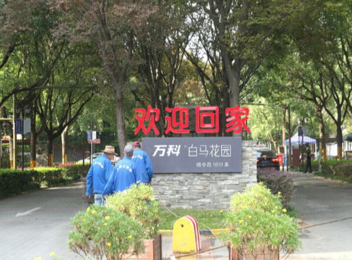 上海市松江区万科白马花园北区497栋1-3F 