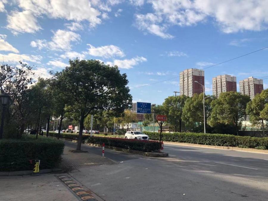 上海市浦东新区海棠名苑8栋9F 