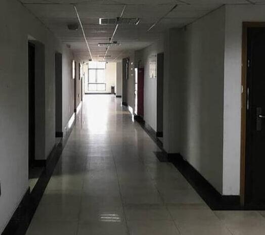 上海市松江区古树园商务楼229栋5F 