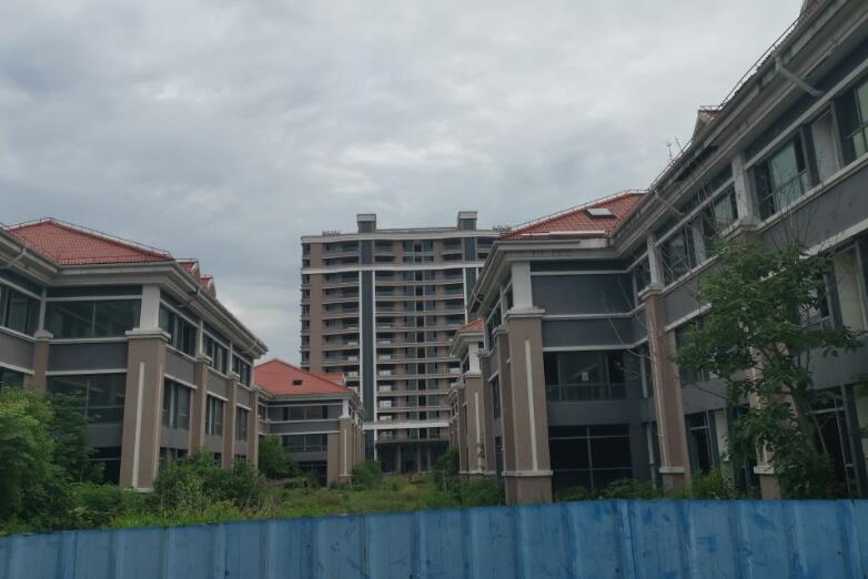 上海市金山区枫阳路99号在建工程枫阳路99栋在建工程 