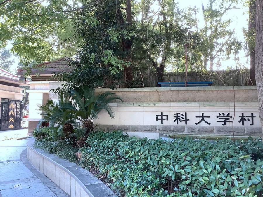 上海市浦东新区中科大学村康桥镇1115栋1-3F 