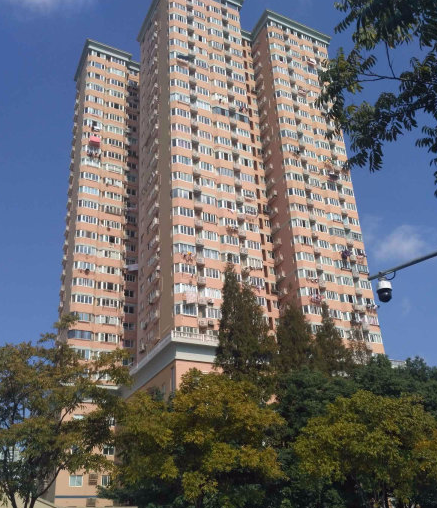 上海市黄浦区望江苑189栋10F 