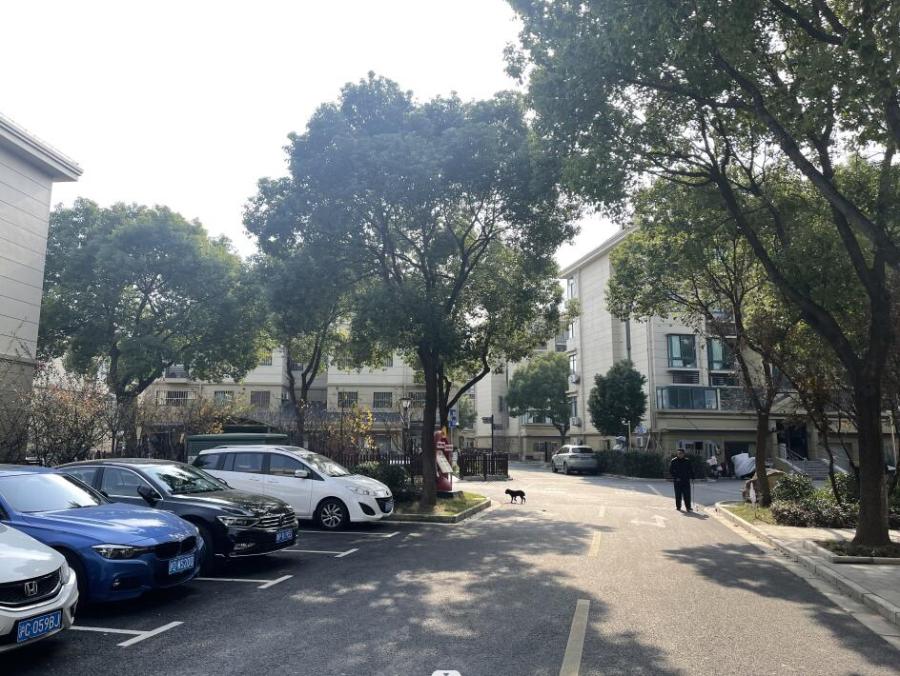 上海市松江区雅鹿新苑15栋1F 