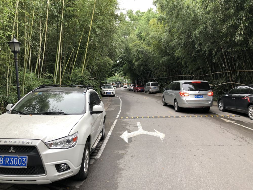 上海市闵行区南郊别墅270栋 