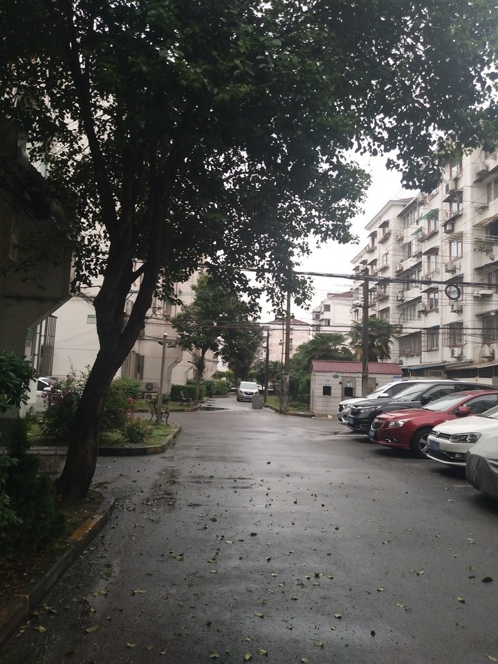 上海市嘉定区丰庄十二街坊3栋2F 