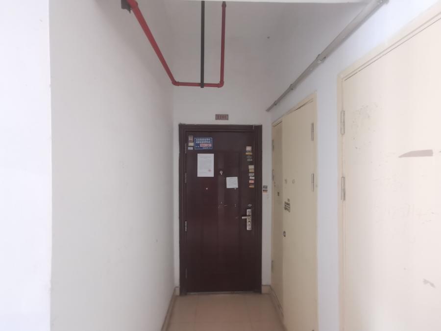 上海市金山区亭林华城丽水嘉园139栋11F 